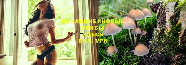 дживик Абдулино