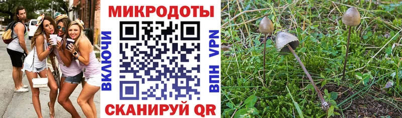 Псилоцибиновые грибы мицелий  Архангельск 