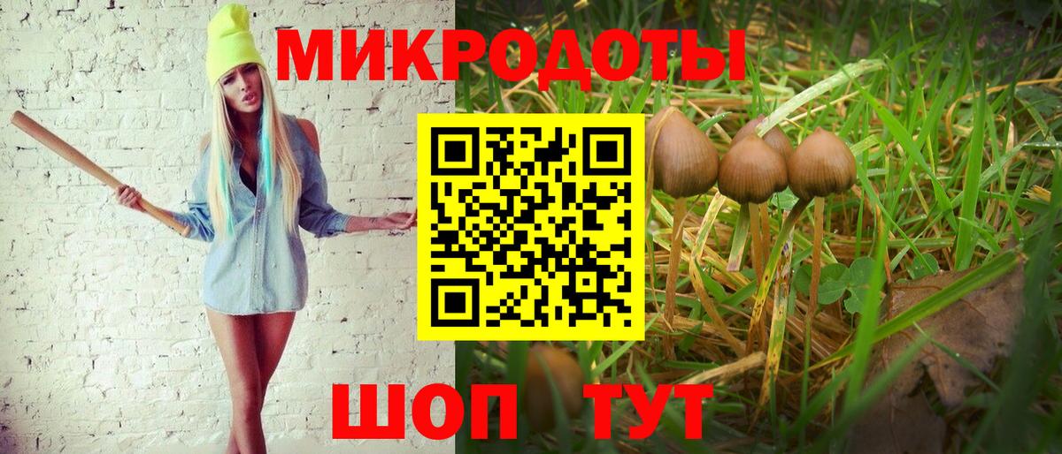 Галлюциногенные грибы Psilocybine cubensis Архангельск