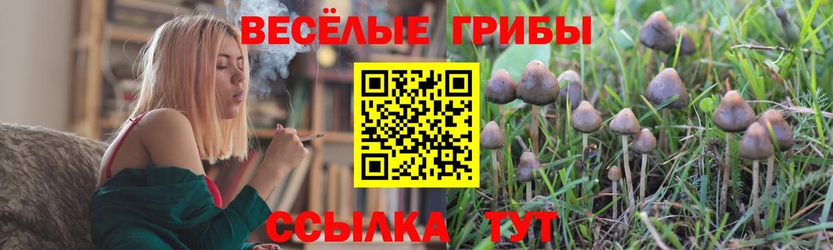 Галлюциногенные грибы Cubensis  Вход с VPN  Псилоцибиновые грибы прущие грибы  Архангельск 